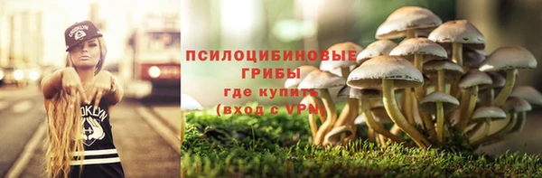 не бодяженный Горнозаводск