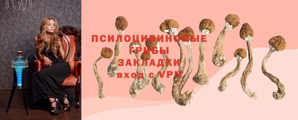 альфа пвп Горняк