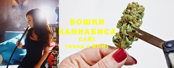 СК Сосновый Бор