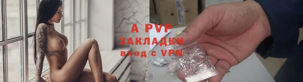 2c-b Горно-Алтайск