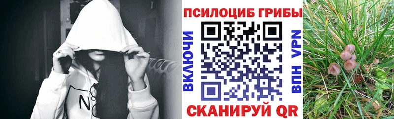 наркота  мориарти состав  Псилоцибиновые грибы мицелий  Новый Уренгой 