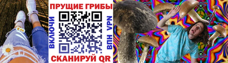 Псилоцибиновые грибы Cubensis Новый Уренгой